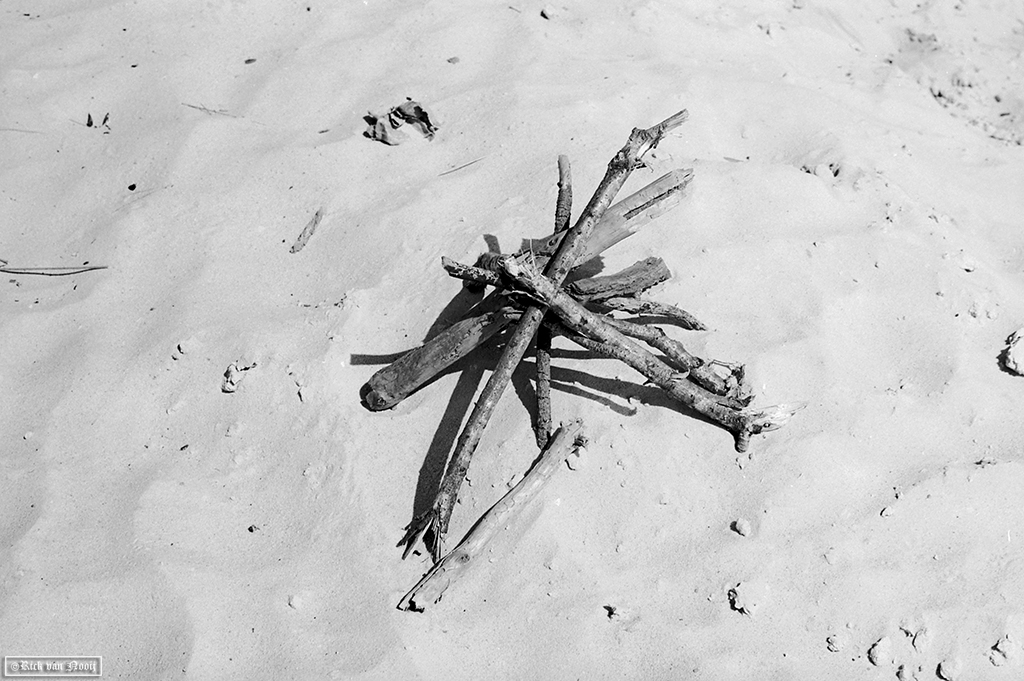 50/2 Summicron, Rollei Retro 80s
