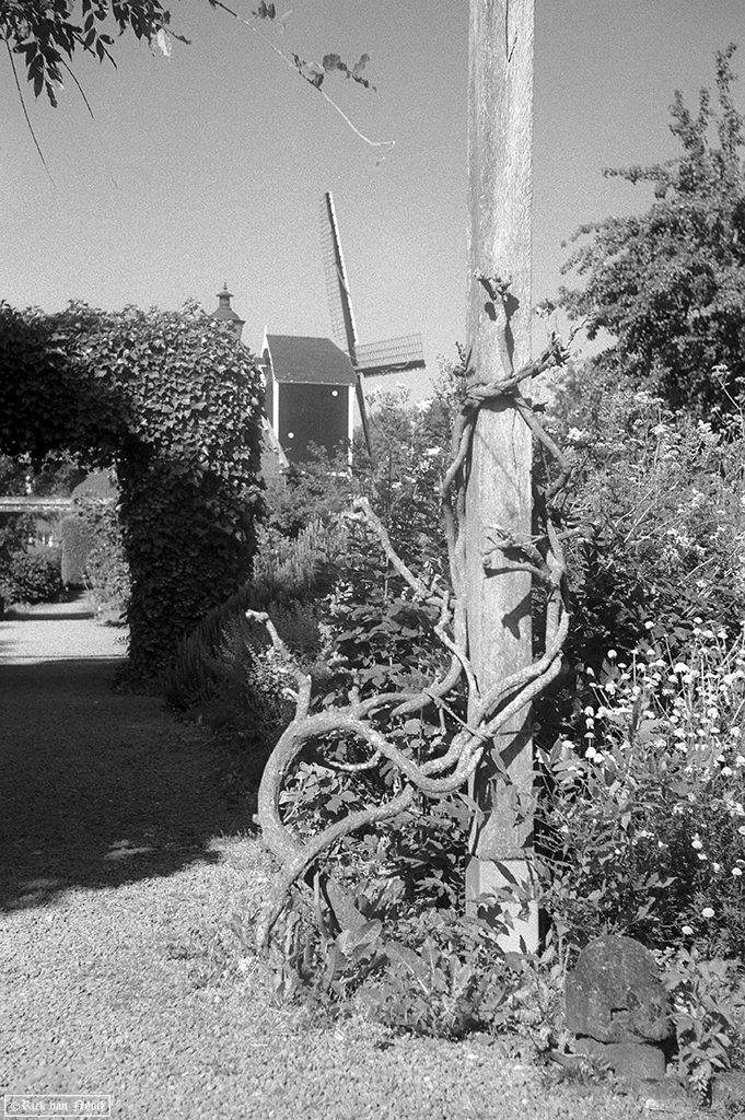 50/1.5 Sonnar, Fomapan 200
