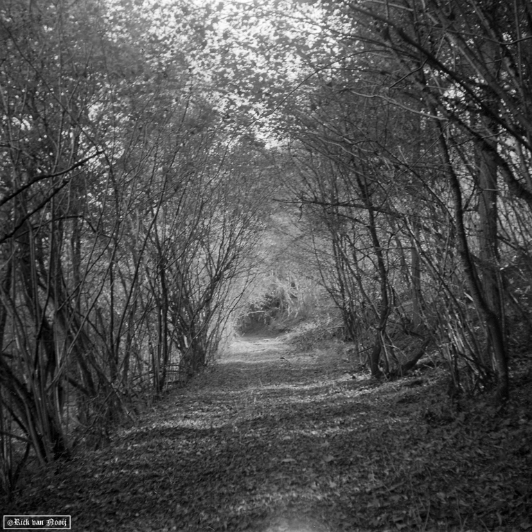 Hapo 66-E, Fomapan 200
