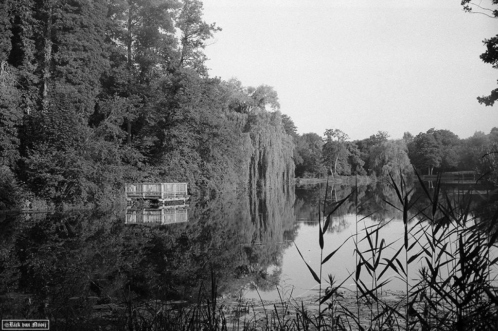 Munster, Yashica Electro-35 GT, Fomapan 200 
