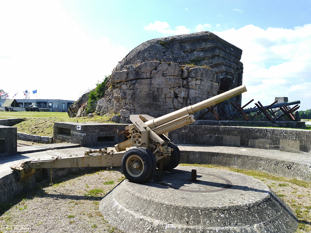 NO240034.jpg