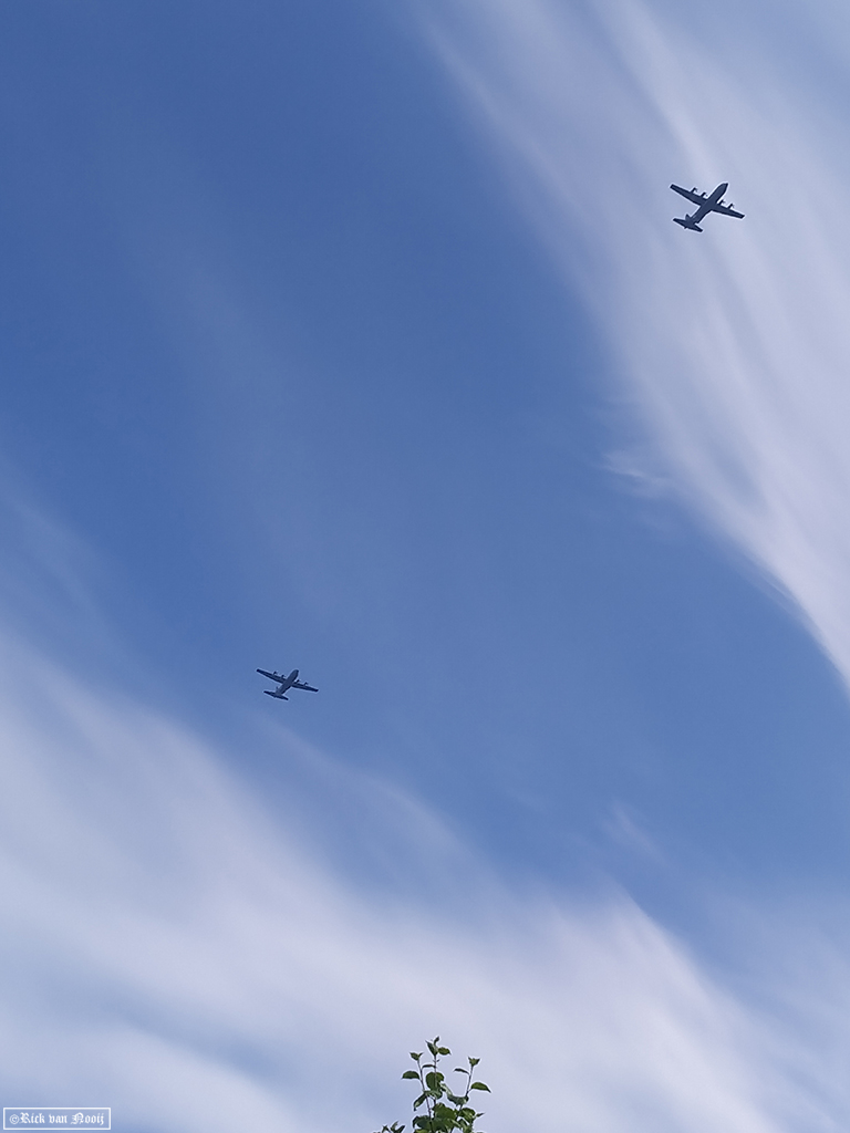 NO240065.jpg