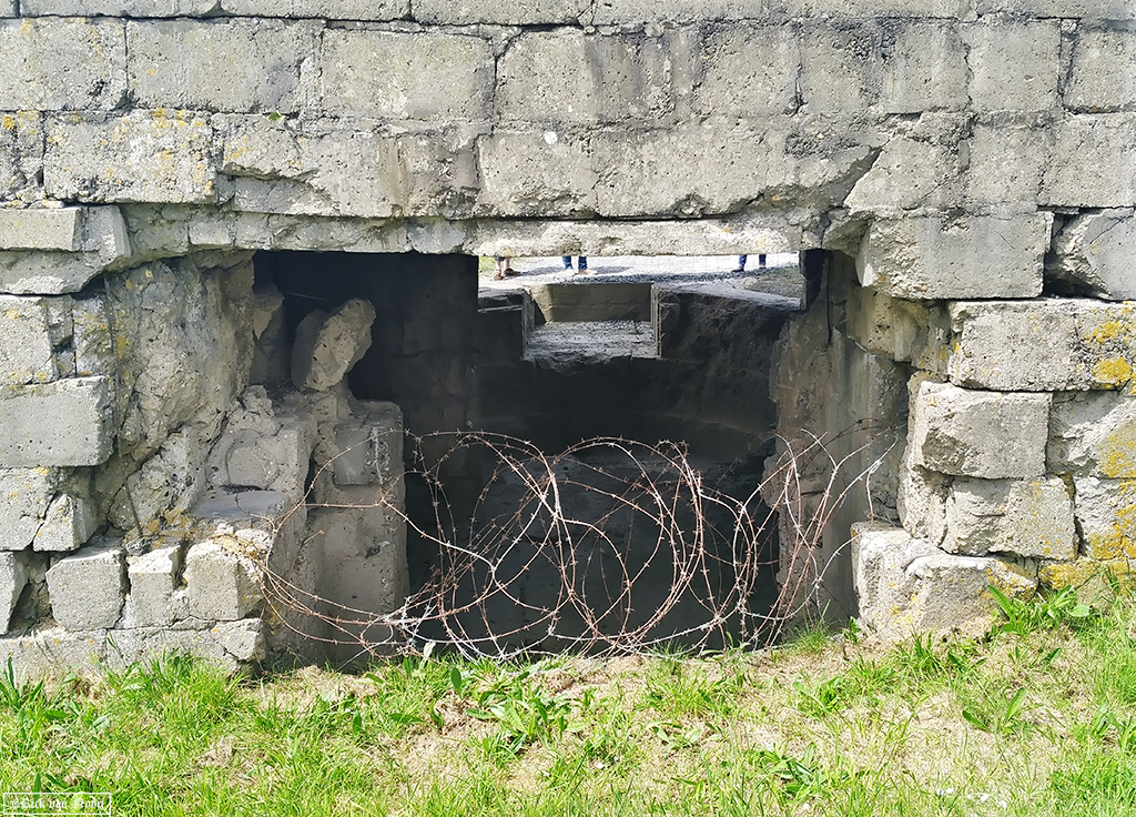 NO240104.jpg