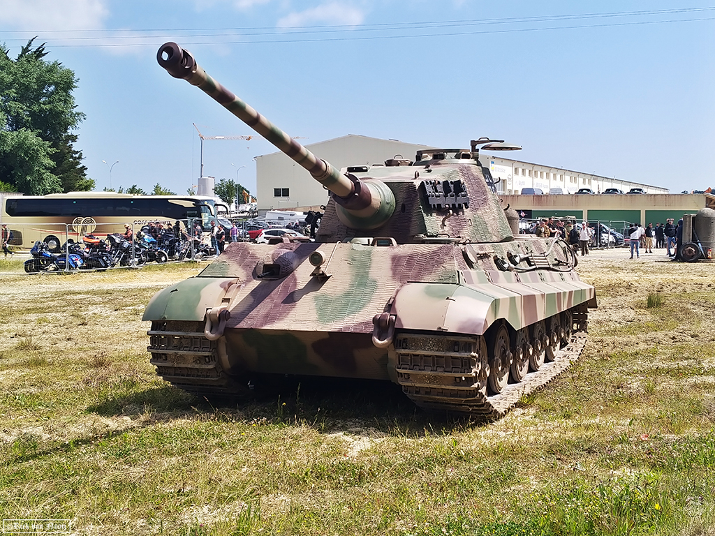 NO240151.jpg