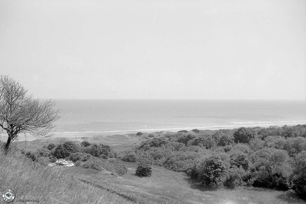 NO240276.jpg
