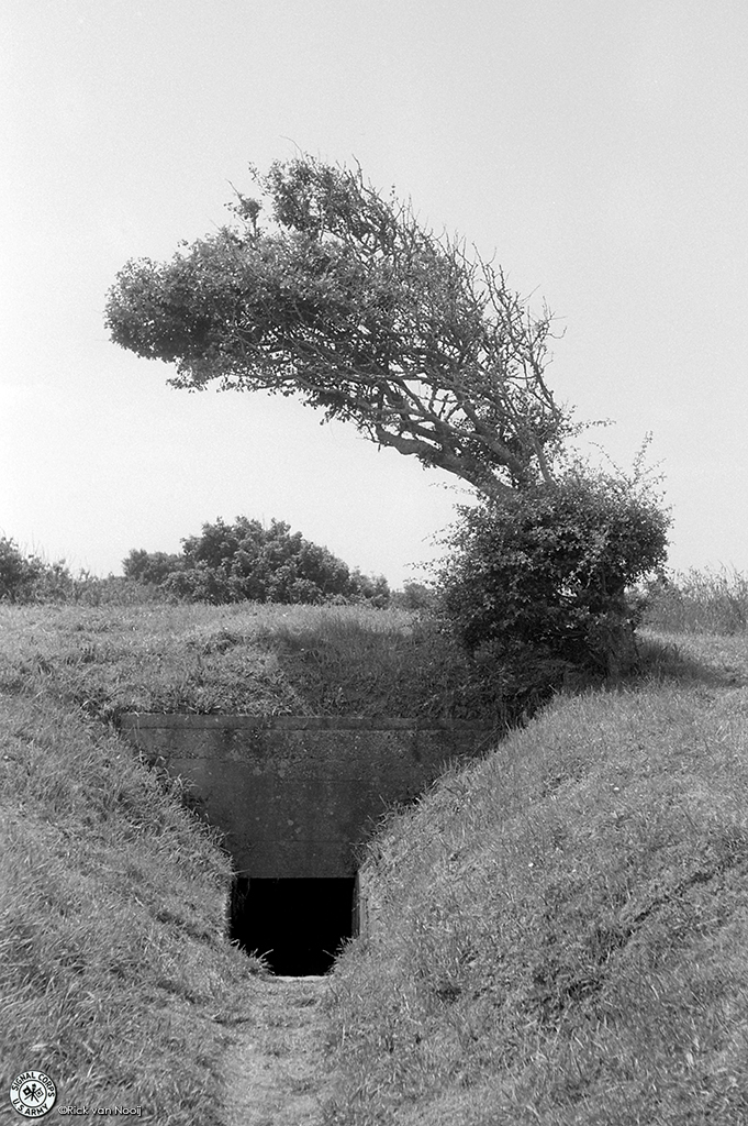 NO240290.jpg
