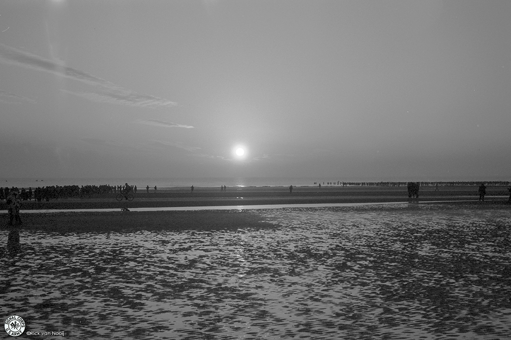 NO240302.jpg