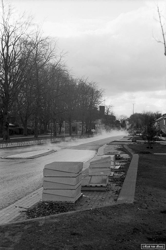 NT250308.jpg