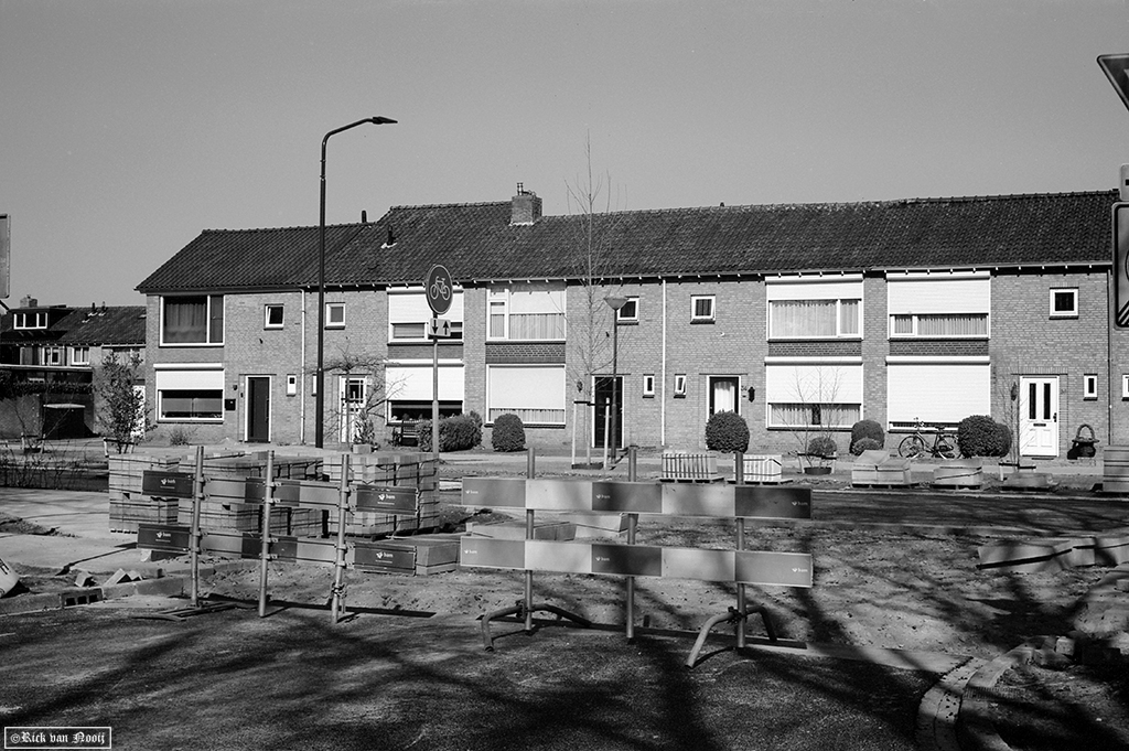 NT250310.jpg
