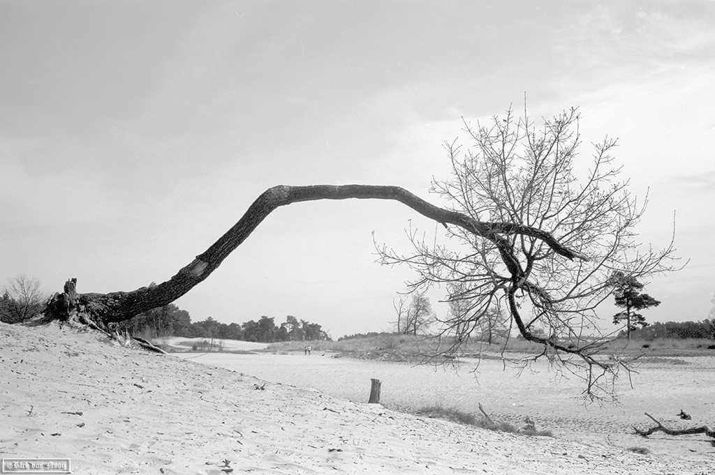 NT250314.jpg