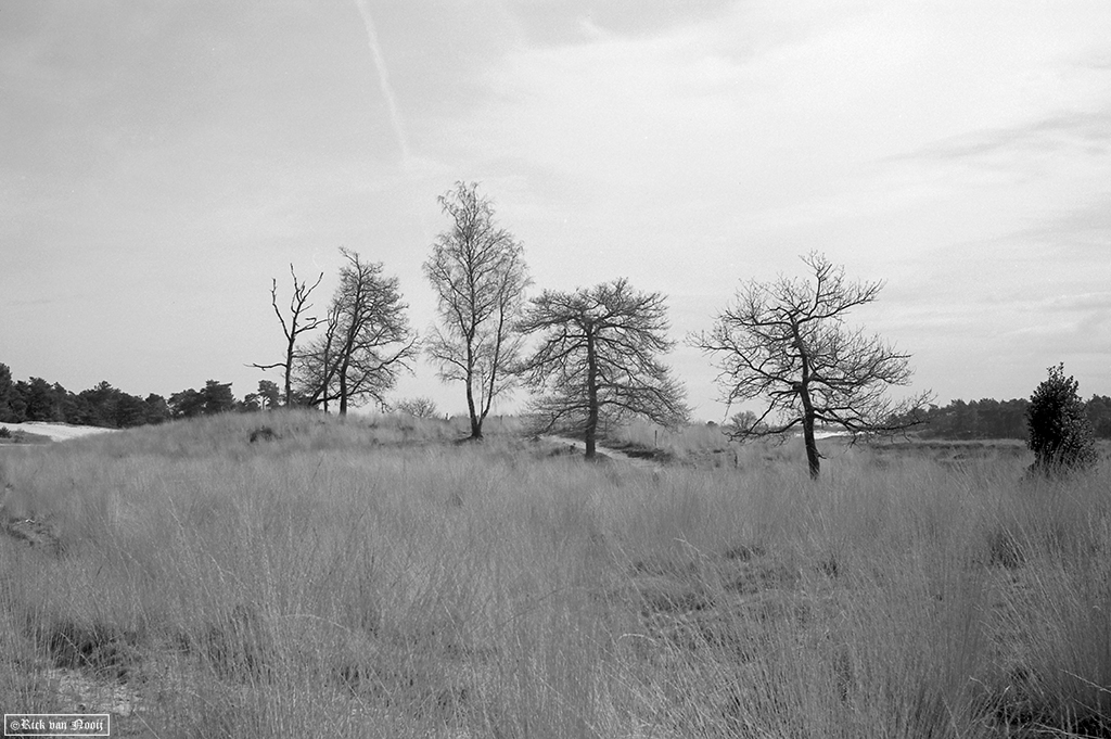NT250316.jpg