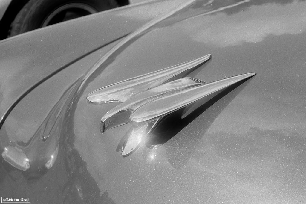 Voigtländer Vitessa N, 50mm f/3.5 Color-Skopar, Rollei Retro 80s 
