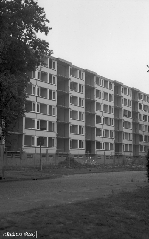 expired Rollei Retro 80s
