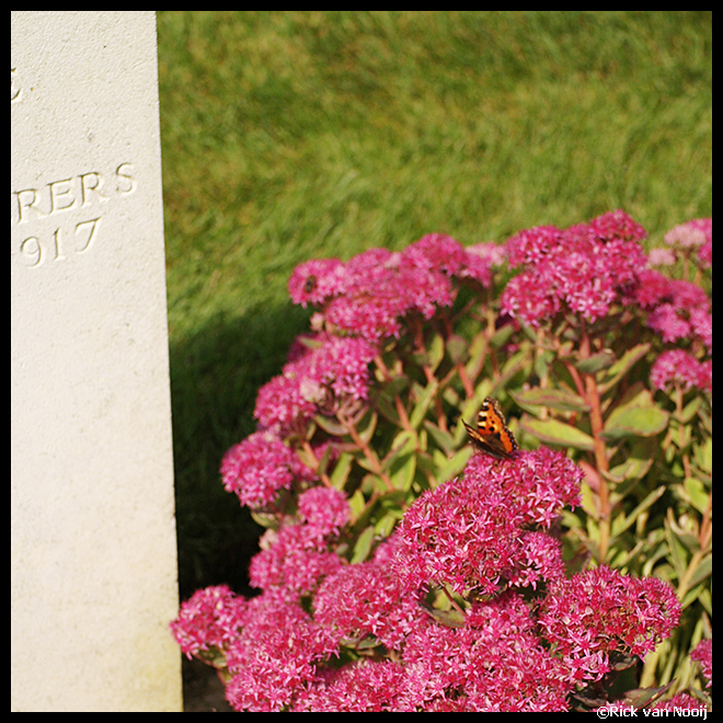 PU140260.jpg