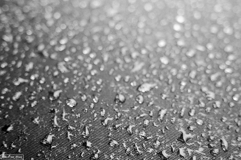 Praktica MTL-50, Industar-61 L/Z 50/2.8, Fomapan 200
