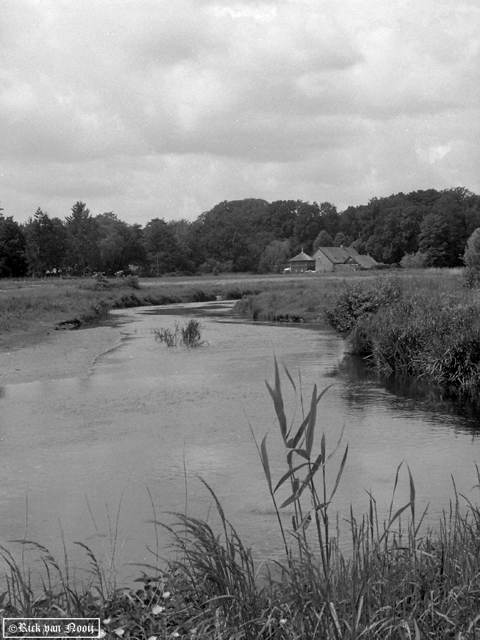 Olympus PEN-F, 38mm f/1.8 Auto-S, Fomapan 100
