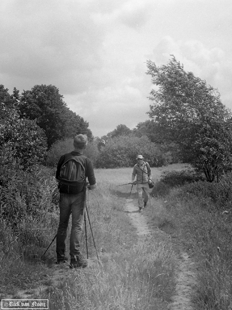 Olympus PEN-F, 38mm f/1.8 Auto-S, Fomapan 100
