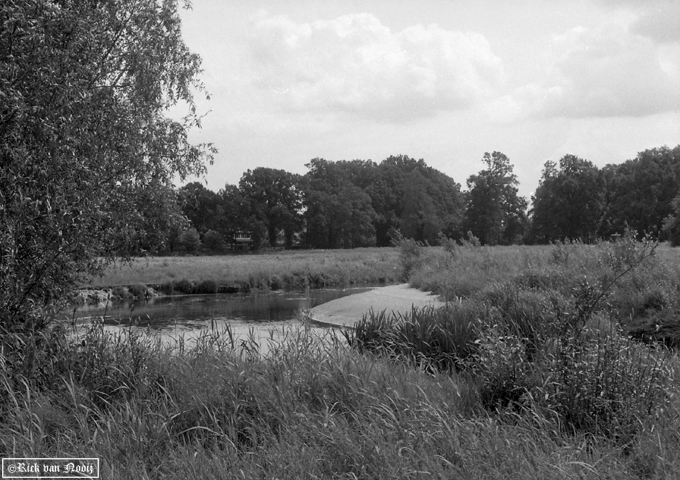 Olympus PEN-F, 38mm f/1.8 Auto-S, Fomapan 100
