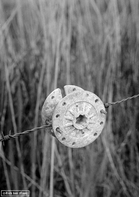 Olympus PEN-F, 38mm f/1.8 Auto-S, Fomapan 100
