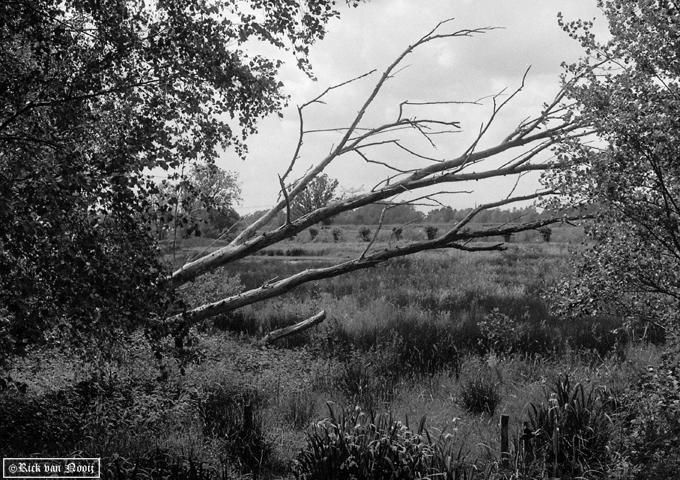 Olympus PEN-F, 38mm f/1.8 Auto-S, Fomapan 100
