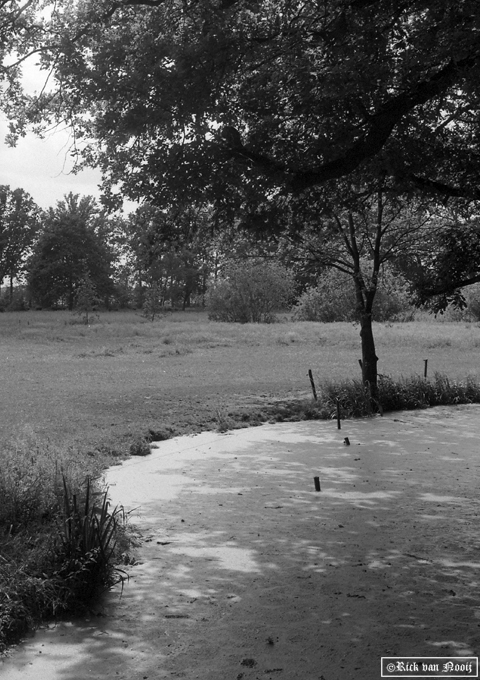 Olympus PEN-F, 38mm f/1.8 Auto-S, Fomapan 100
