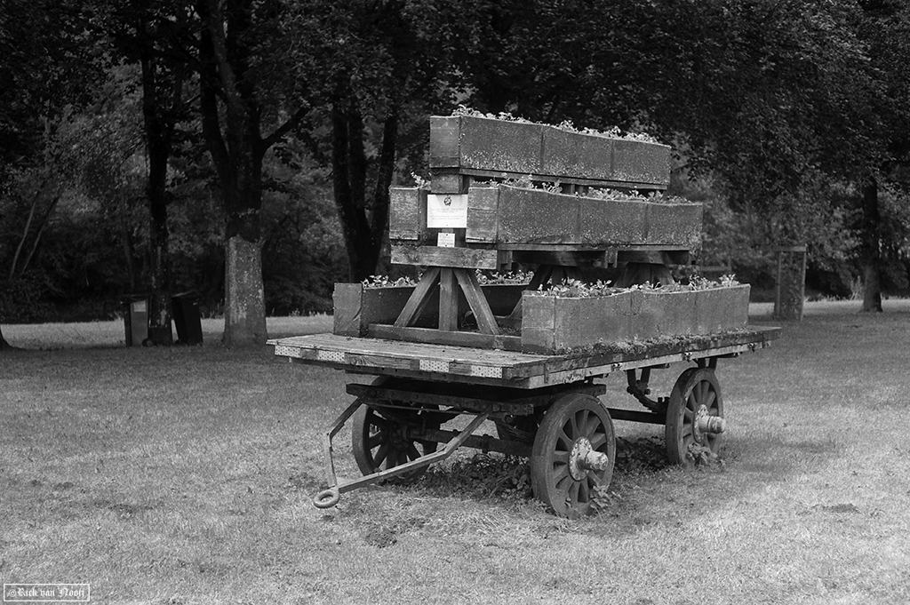 Leica IIIg, 50/2 Summicron, Fomapan 200
