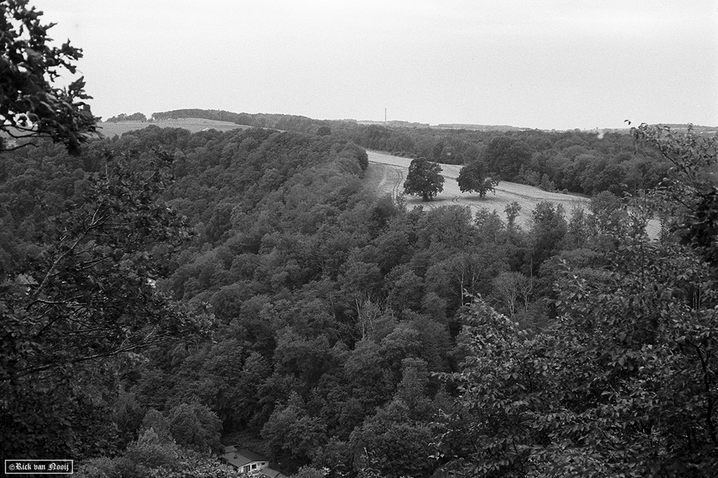 Yashica Electro-35 GT, Fomapan 200
