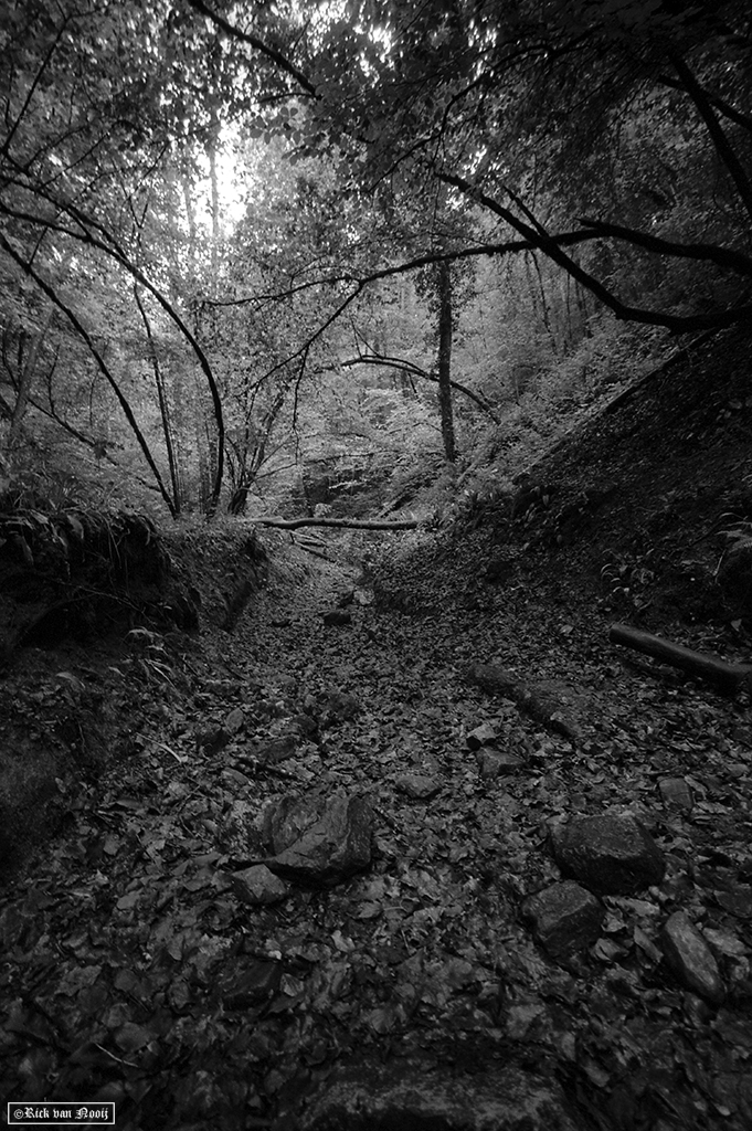 Leica MD-2, Voigtländer Super Wide-Heliar 15mm f/4.5, Fomapan 200
