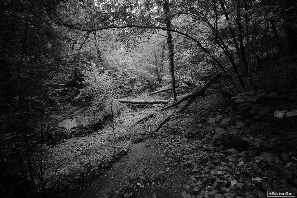 Leica MD-2, Voigtländer Super Wide-Heliar 15mm f/4.5, Fomapan 200
