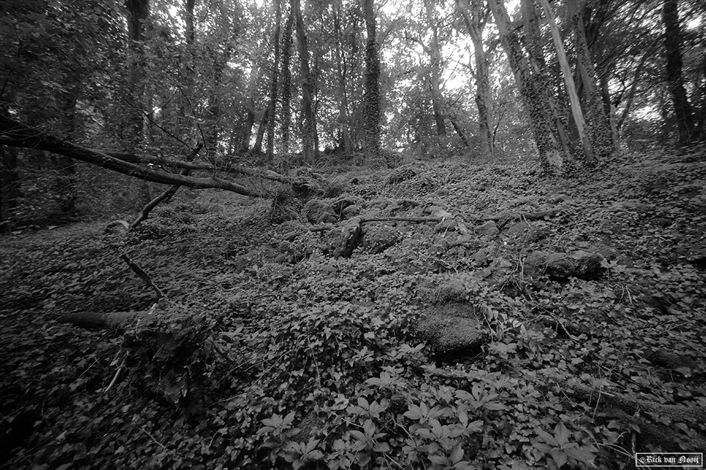 Leica MD-2, Voigtländer Super Wide-Heliar 15mm f/4.5, Fomapan 200
