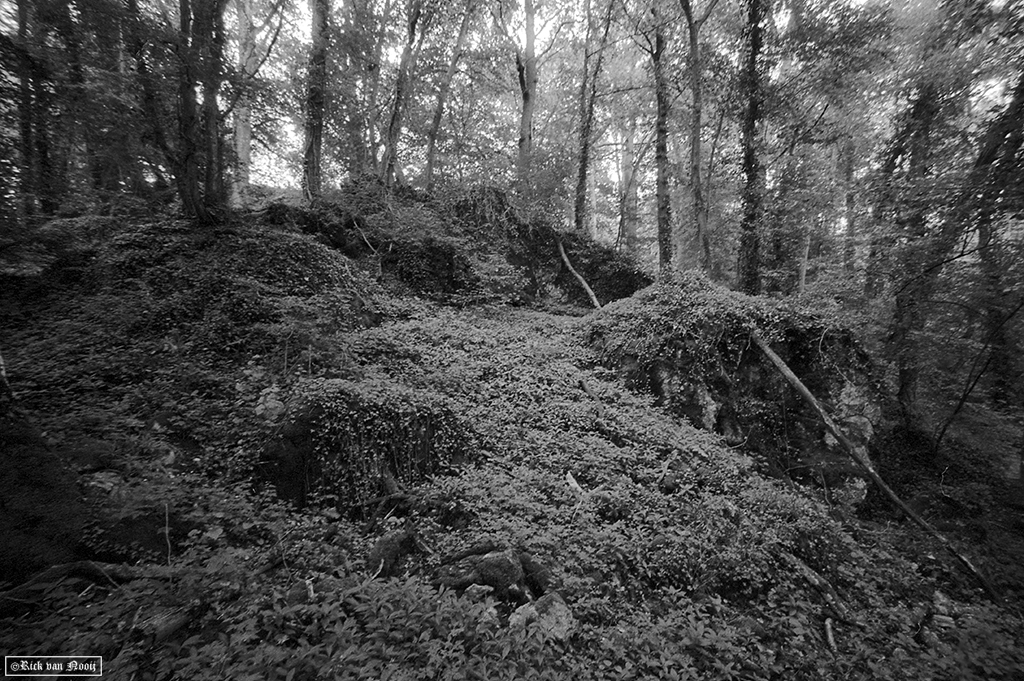 Leica MD-2, Voigtländer Super Wide-Heliar 15mm f/4.5, Fomapan 200
