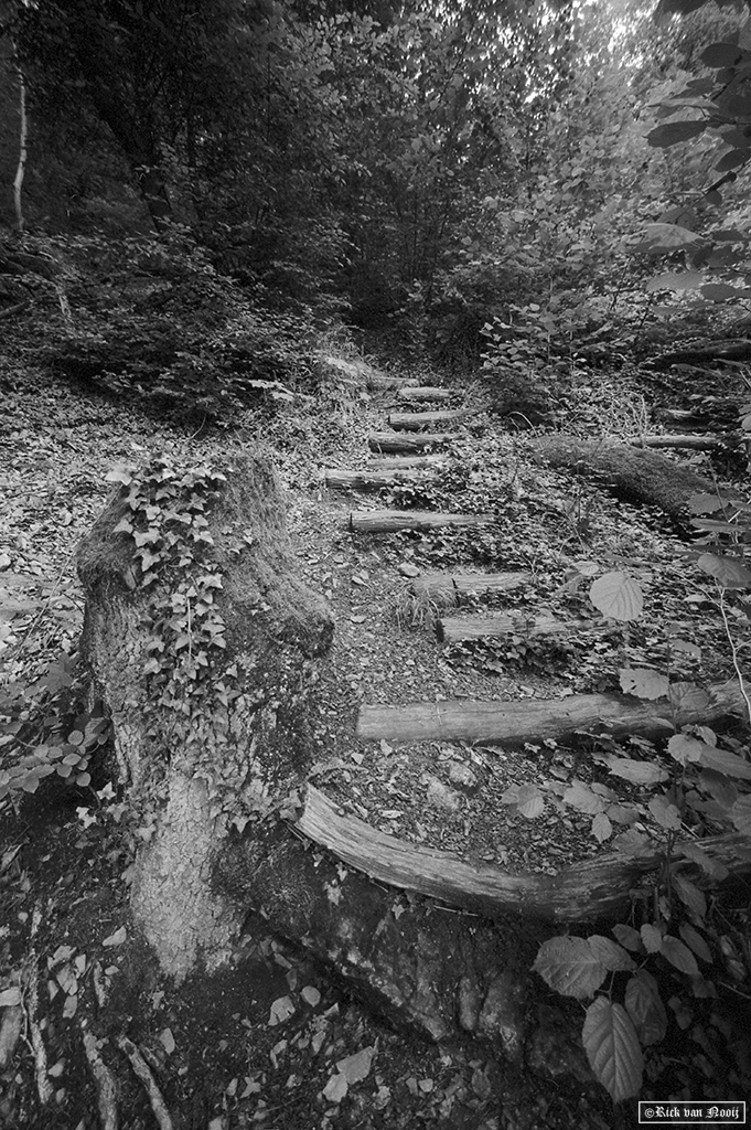 Leica MD-2, Voigtländer Super Wide-Heliar 15mm f/4.5, Fomapan 200
