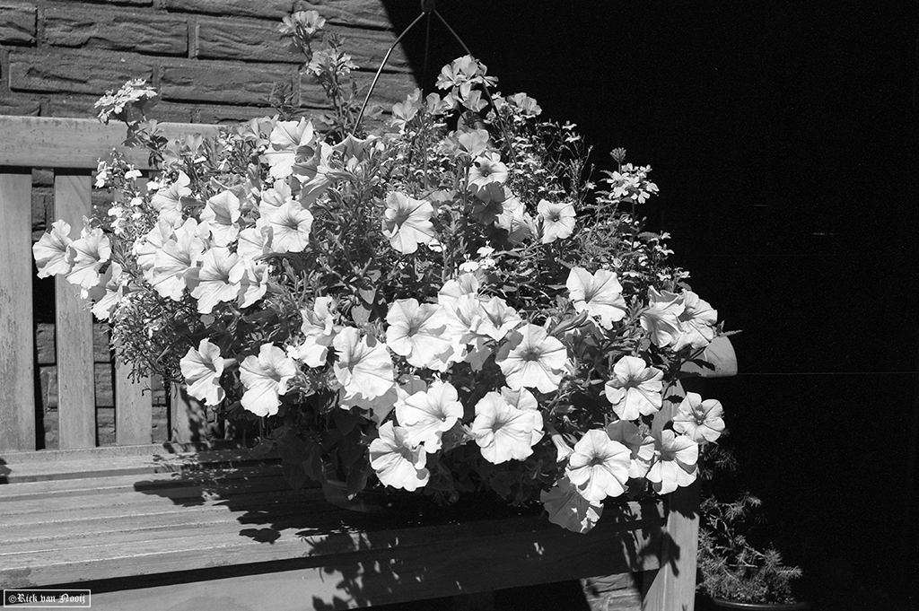 SN250712.jpg
