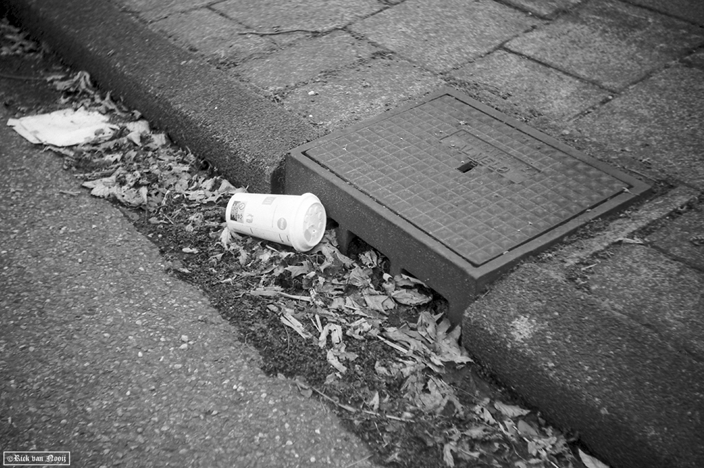 Fomapan 200 Creative (HC-110, E, 10m, 20C)
