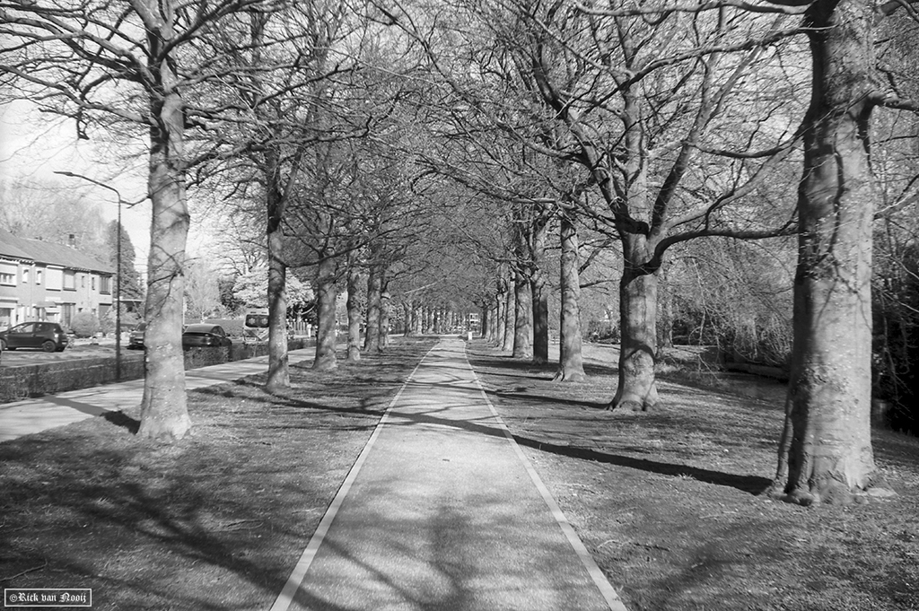 Fomapan 200 Creative (HC-110, E, 10m, 20C)
