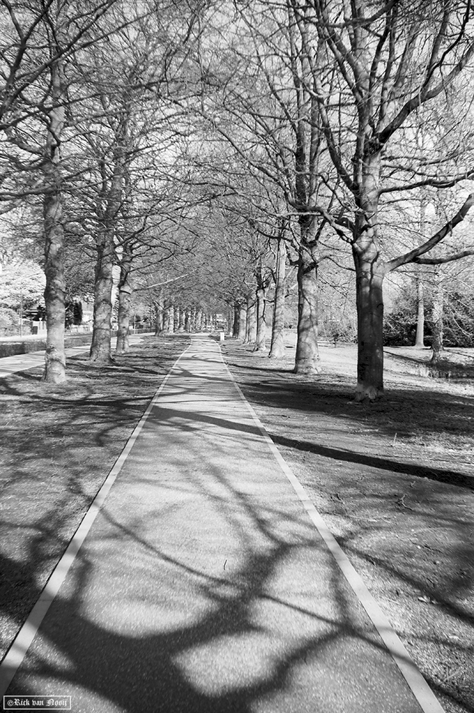 Fomapan 200 Creative (HC-110, E, 10m, 20C)
