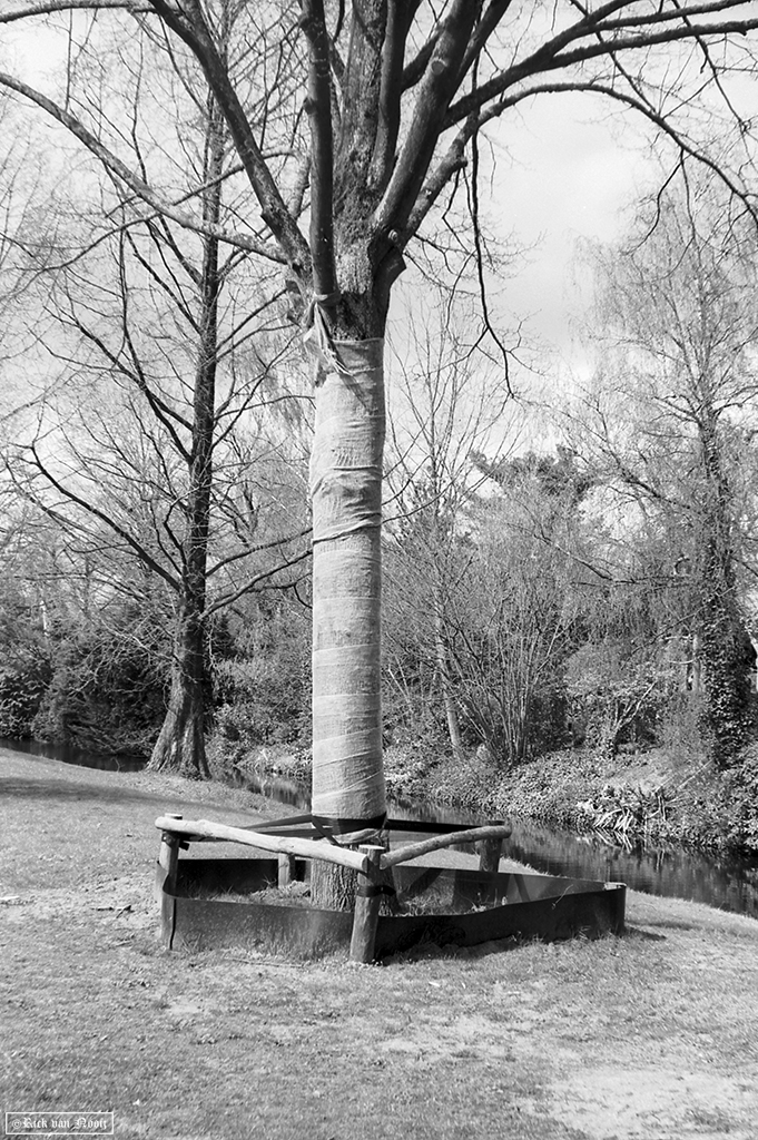 Fomapan 200 Creative (HC-110, E, 10m, 20C)
