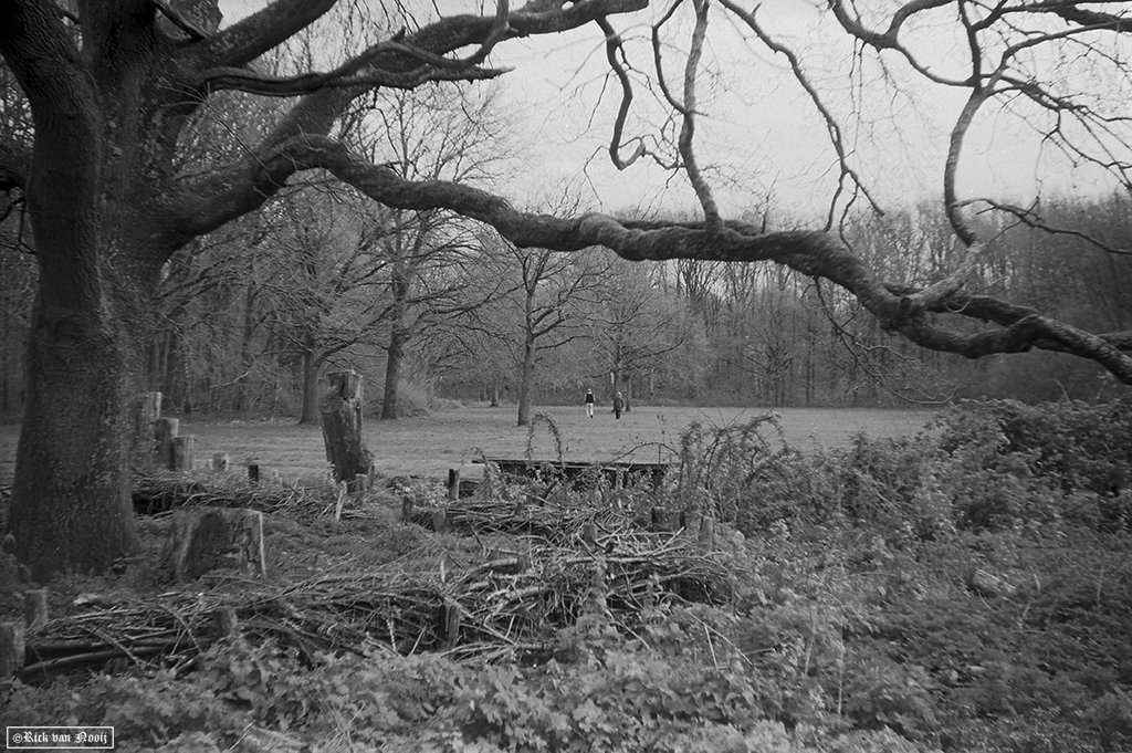 Fomapan 200 Creative (HC-110, E, 10m, 20C)
