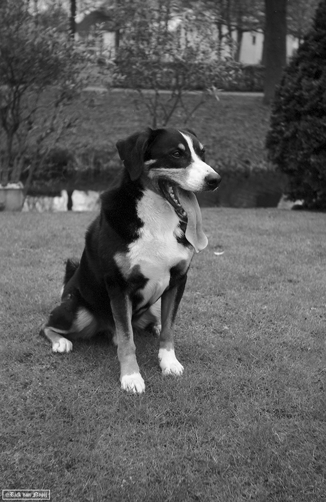 Fomapan 200 Creative (HC-110, E, 10m, 20C)
