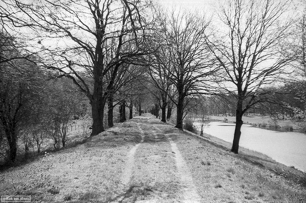 Fomapan 200 Creative (HC-110, E, 10m, 20C)
