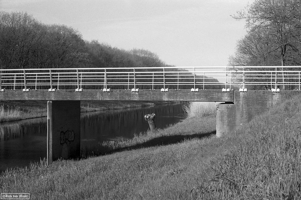 Leica IIIg, expired Agfa film
