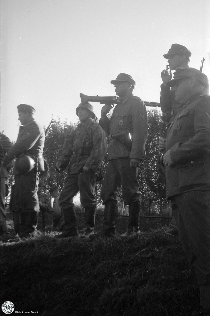 Mimosa, Meyer-Gorlitz Trioplan, Exp. Agfa APX100
