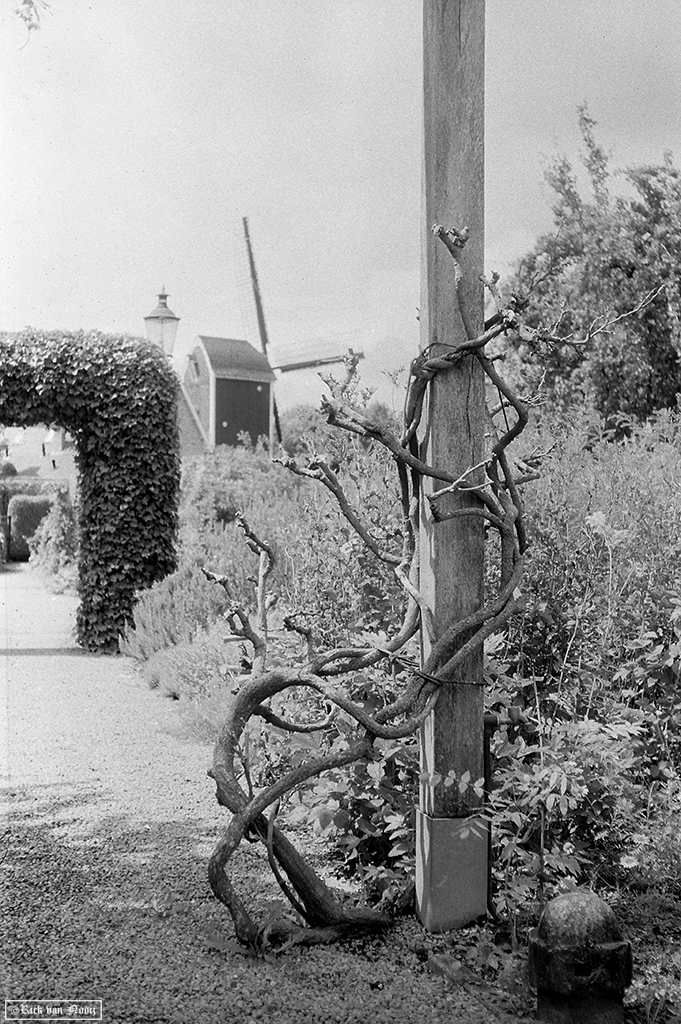 VV250803.jpg