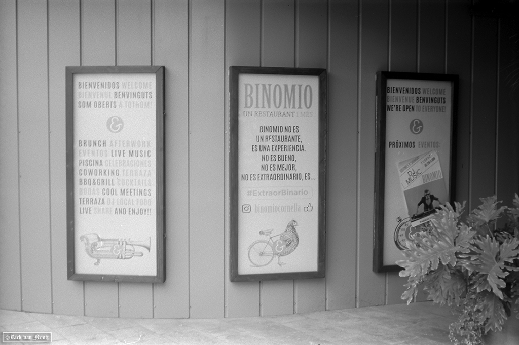 Voigtländer Vitessa N, Color-Skopar 50/3.5, Rollei Retro 80s
