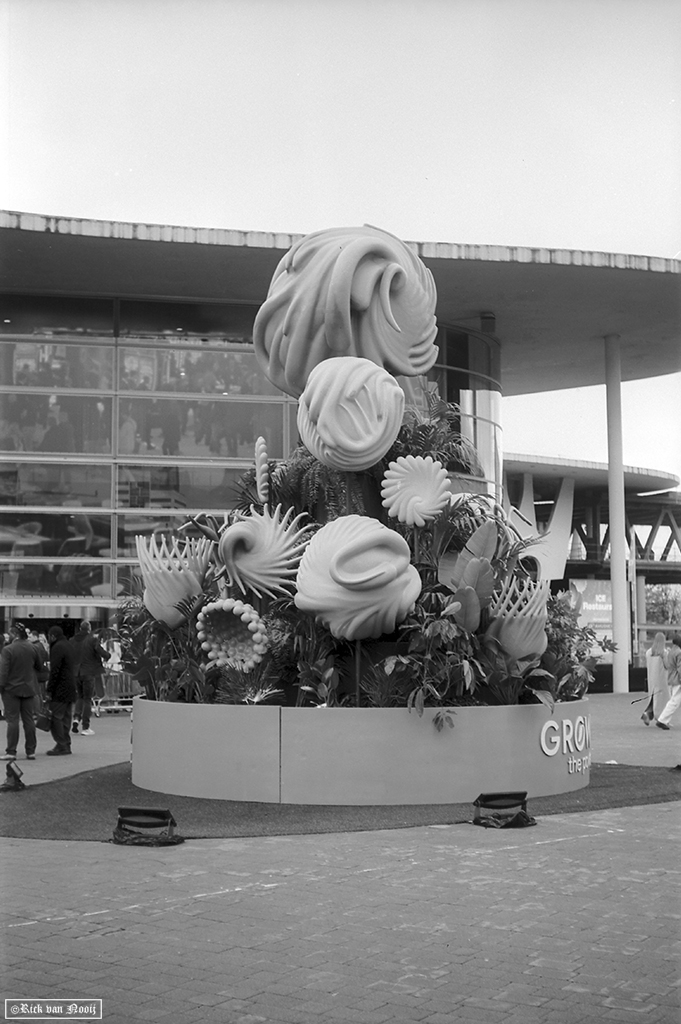 Voigtländer Vitessa N, Color-Skopar 50/3.5, Rollei Retro 80s
