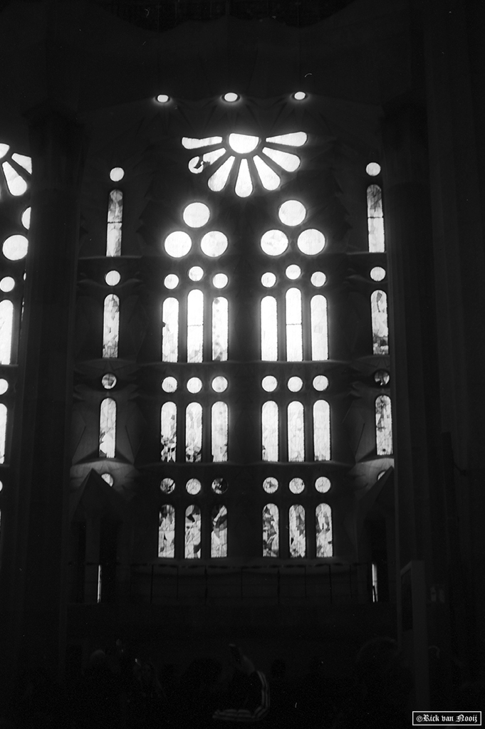 Voigtländer Vitessa N, Color-Skopar 50/3.5, Rollei Retro 80s
