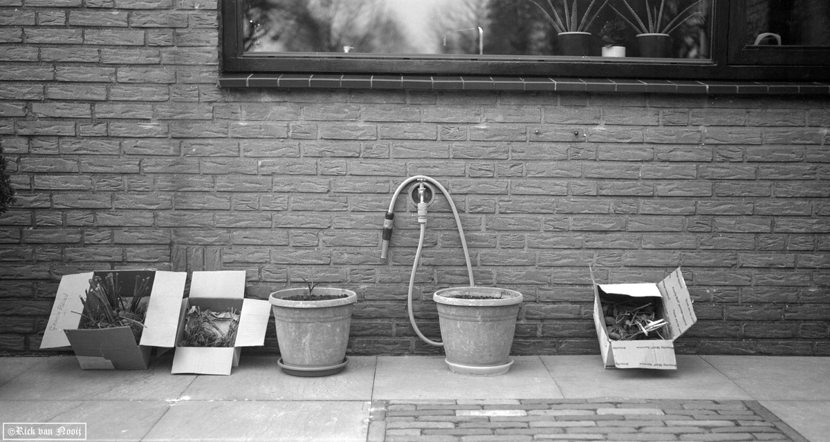 CZJ 12cm f/4.5 Tessar, Fomapan 100
