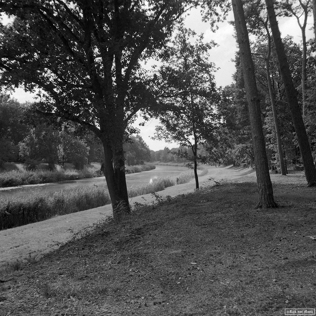Fomapan 200 Creative (Bellini Euro-HC, E, 6.5min, 20C)
