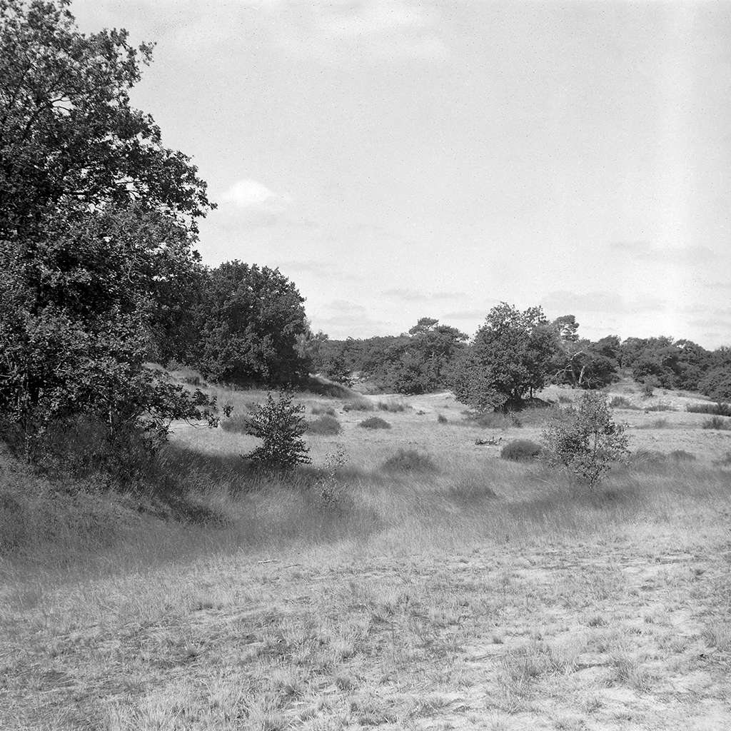 Fomapan 200 Creative (Bellini Euro-HC, E, 6.5min, 20C)
