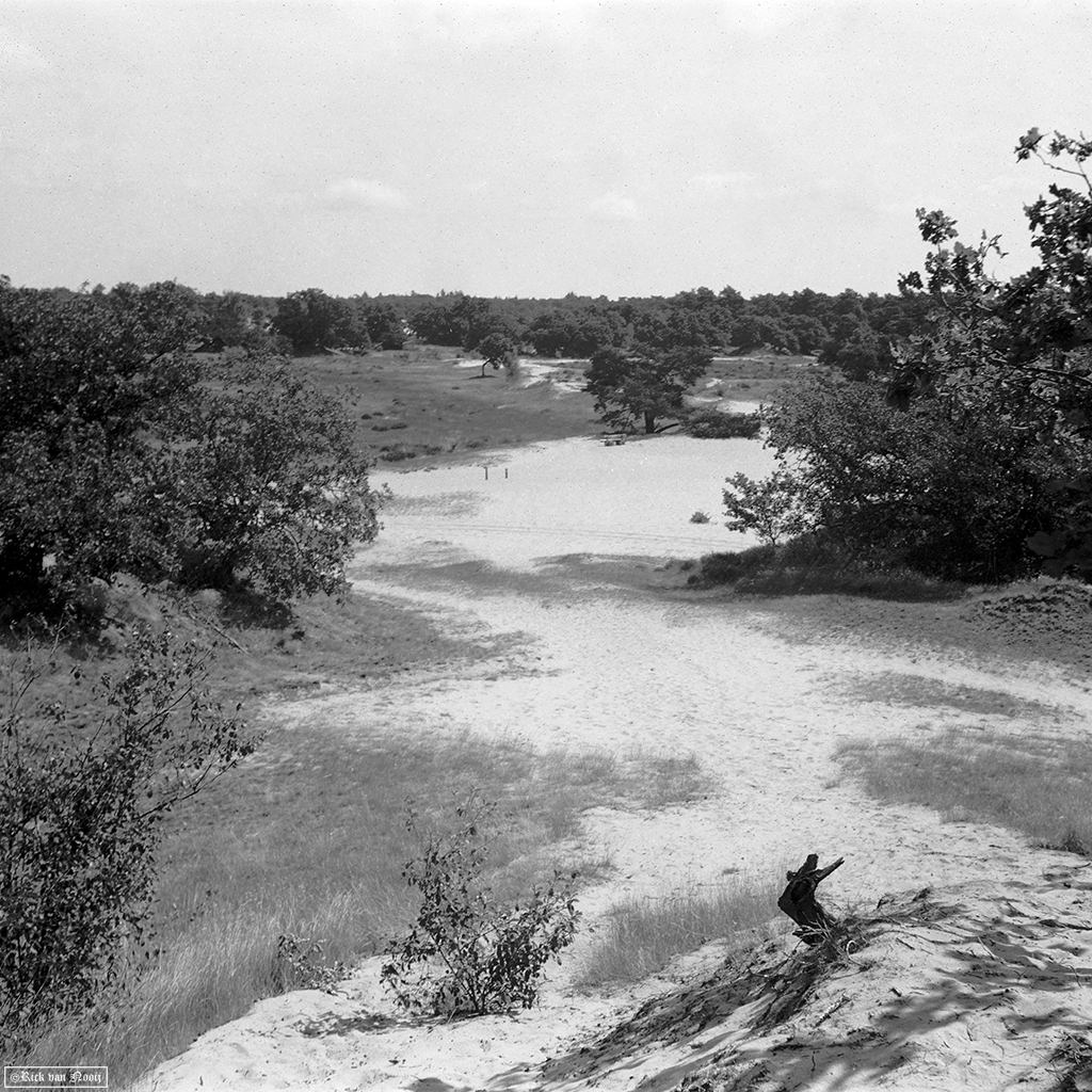 Fomapan 200 Creative (Bellini Euro-HC, E, 6.5min, 20C)
